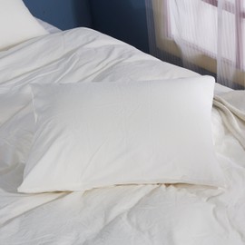 Rural Dandelion 100% Washed Cotton Duvet Cover Bedding Set , Healthy ,Luxurious, Comfortable, Breathable, Soft and Extremely Durable, Queen, Off White