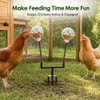 BingegePet Chicken Treat Dispenser Toy, 15.7-Inch Dual-Spring Slow Feeder with