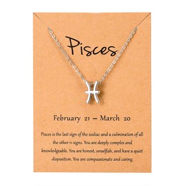 Silver Star Sign Pendant Chain Bracelet - Pisces (19th February - 20th March) - Zodiac Constellation Horoscope Celestial Astrology Jewellery - Women Men Gift
