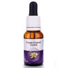 Living Essences Purple Enamel 100ml