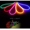 Unbranded 5M Led Neon Strip Outdoor Lights 12V Waterproof For