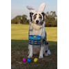 Paas Classic Easter Egg Decorating Kit with Food Safe Dyes