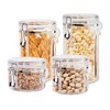 Oggi 4pc Clear Canister Set with Clamp Lids & Spoons