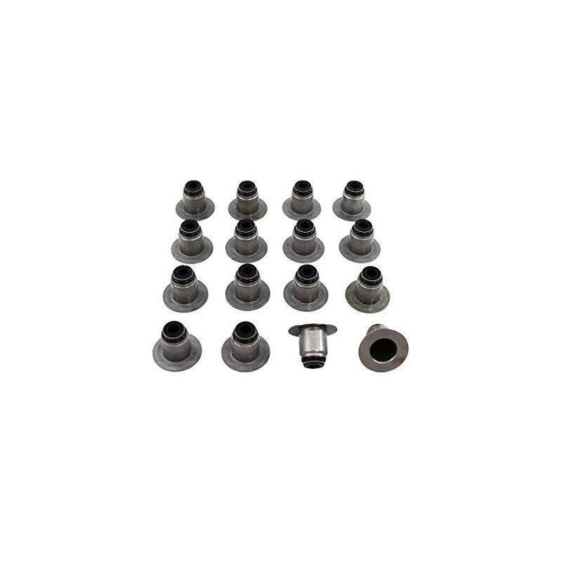 DNJ VSS4224 Valve Stem Seal for 2010-2017 Ford, F-150, F-250