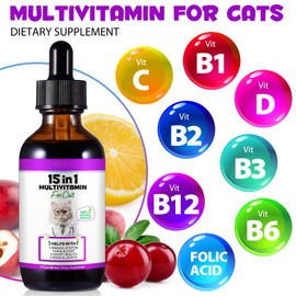 Cat Multivitamin - 15 in 1 Multivitamin Drops for Cats, Cat Supplements Vitamins with Glucosamine & MSM Supports Joint Care, Skin & Coat, Pets Supplies Vitamins for Cats, Bacon Flavor - 2 Fl Oz / 60ml