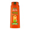 Garnier Fructis Shampoo 2 e n1 Borrador de Dano Largo