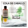 Shampoo Cola De Caballo Secreto Herbal Anticaida Romero 500ml