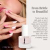 Côte Beauty Nail Strengthening Base Coat, Smooths Nails with Horsetail