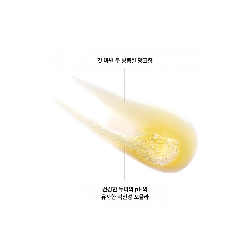 Chloran Klorane Mango Butter Shampoo 400ml / 클로란 망고버터 샴푸