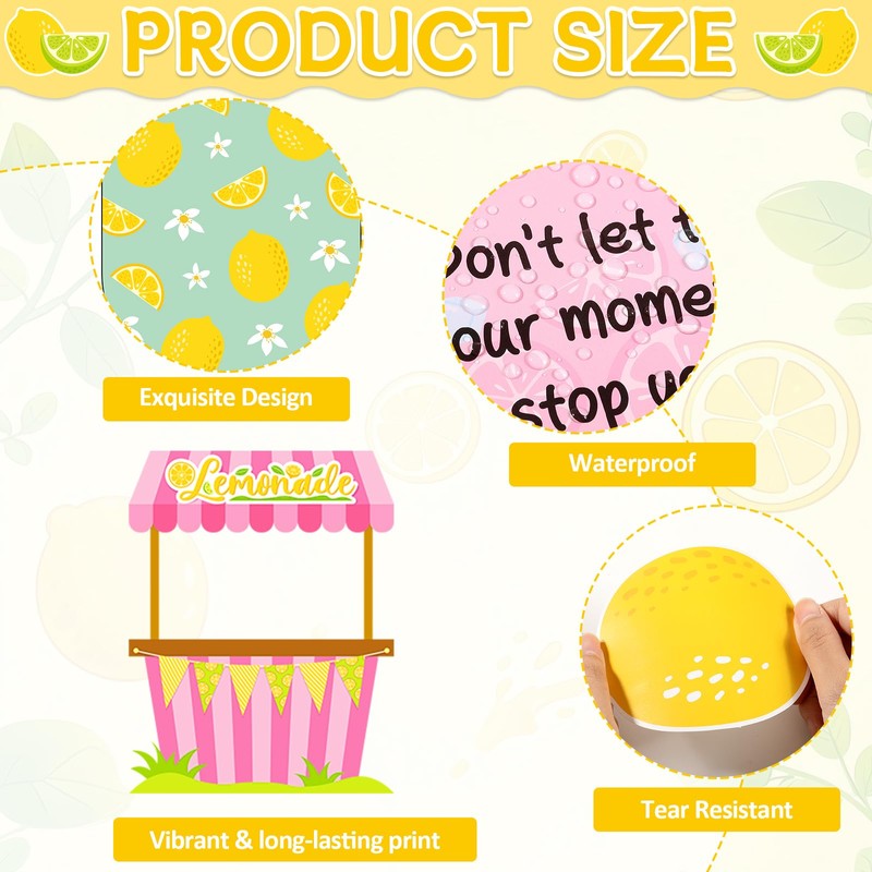 Summer Lemon Bulletin Board Decorations Lemonade Themed School Bulletin Decor