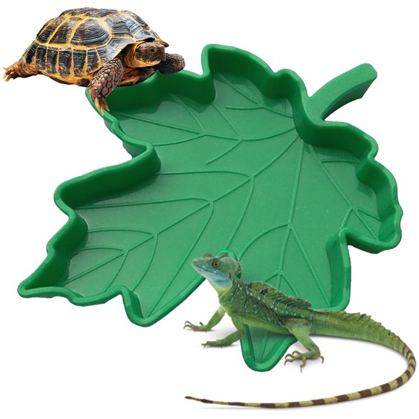 1 Reptile Water Bowl, Food Bowl, Terrarium Drinking Bowl, Water