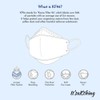It'saKthing_Disposable Face Mask, Gray Large 10 Masks, Eco-Friendly Packaging -