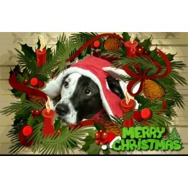 Unbranded Women Bracelet Watch Quartz Analog Wrist Watches Crystal Deco Bangle Steel Band