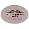 Dear Beard Moustache Wax Schnurrbartwichse- ohne Silikone und Parabene, 30 ml