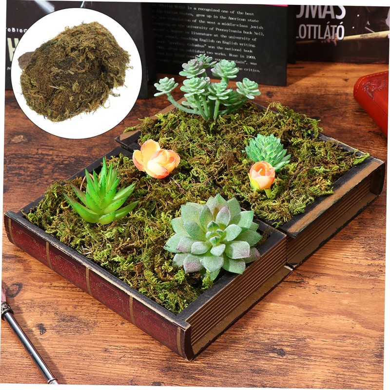 Operitacx Vivid Artificial Moss for DIY Moss Projects Decorative Terrarium