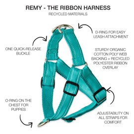 Pet Passion Adjustable Recycled Ribbon Dog Harness for All Pet Breeds, Turquoise, X-Large