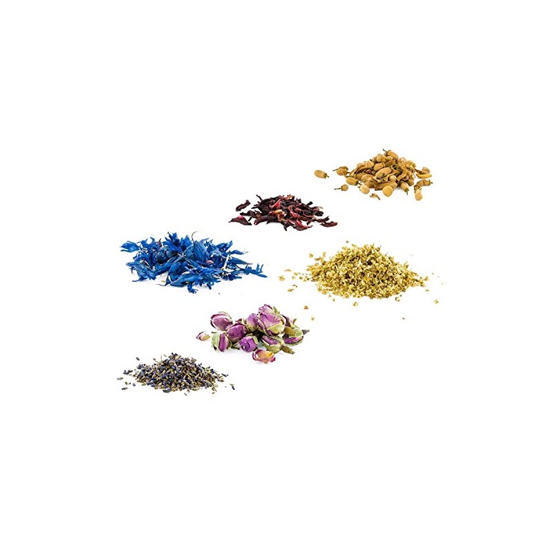 Kit 6 Edible Flowers - Pink, Hibiscus, Lavender, Orange Tree,