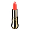 Lip Rouge Rosy Coral, a texture that gently melts into your lips / 입술에 부드럽게 녹아드는 텍스처 립루즈 로지코랄