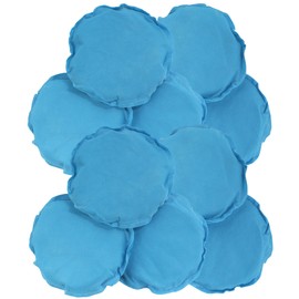 BambooMN Activated Bamboo Charcoal Air Purifier - 80g Sky Blue - 10 Units