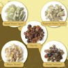Frankincense and Myrrh from Oman – Set of 5