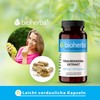 BIOHERBA 300 OPC Traubenkernextrakt Kapseln 300mg C Hochdosiert mit OPC