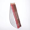 Delineador de Labios Wooden Lip Beauty Creations (NICE & TOASTY)