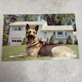 Esso Germand Shepherd Watchdog Heating Advertising Postcard Vtg Standard Oil