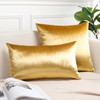 OTOSTAR Pack of 2 Velvet Soft Decorative Throw Pillow Covers