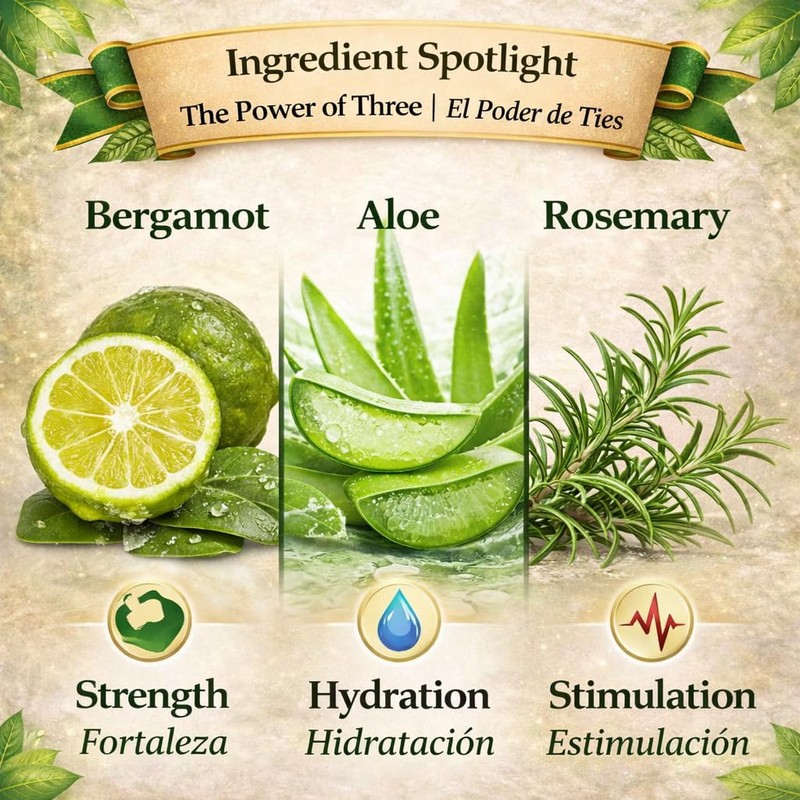 HIGH SUPREME Shampoo organic bergamot (16.9 fl oz) with aloe