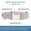 Soft Leather Dog Collar and Leash (6.6') Set - Stylish