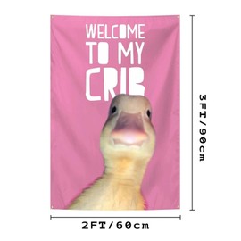 Welcome to My Crib Flag Hip Hop Sunglasses Dizzy Duck Funny Banner For Room Durable Man Cave Wall With Brass Grommets For College Dorm Room Decor (D10)