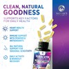 Quercetin Capsules 1000mg, with Ultra Strength Complex - Health Antioxidant