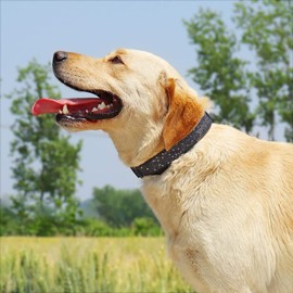 TDTOK Glittering Basic Dog Collar, Comfy & Durable Bling Dog Collar for Small Medium Large Dogs with Eco-Friendly Plastic Buckle, Adjustable Stylish Nylon Dog Collars, Fit Necks: 9.8-22.4’’