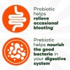 Align Dualbiotic, Prebiotics and Probiotics for Women and Men, Probiotics
