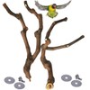 kathson Natural Parrot Perch Bird Stand Pole Wild Grape Stick