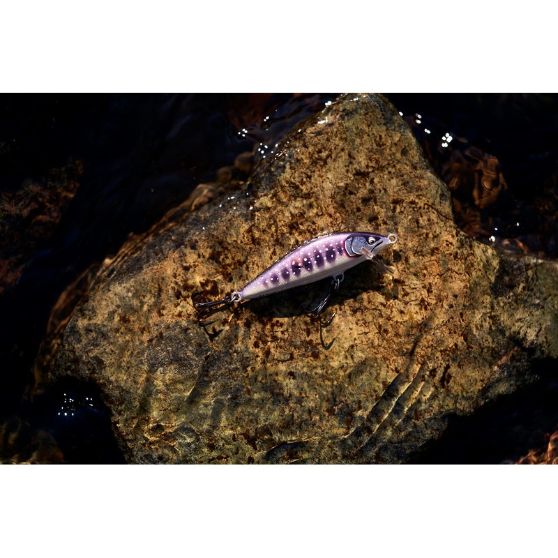 Countdown Elite 55 Gilded Iwana