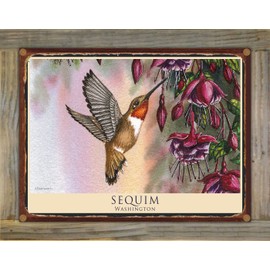 Sequim Washington Hummingbird Feeding on Fuchsia Rustic Metal Print on Reclaimed Barn Wood from Watercolor by Artist Dave Bartholet 8.5" x 11.5"