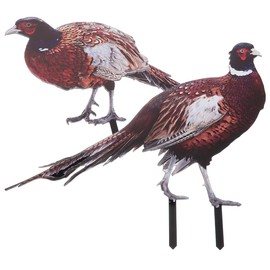 BESPORTBLE 2Pcs Acrylic Pheasant Garden Stakes - Double-Sided Uv Printed Decorative Animal Ornaments for Outdoor Lawn, Courtyard, and Pond Decor