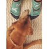 Karma Women Ankle Socks, Turtle Slow Down, One Size