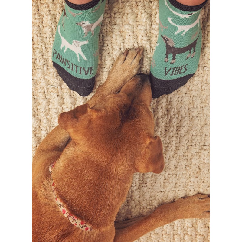 Karma Women Ankle Socks, Turtle Slow Down, One Size