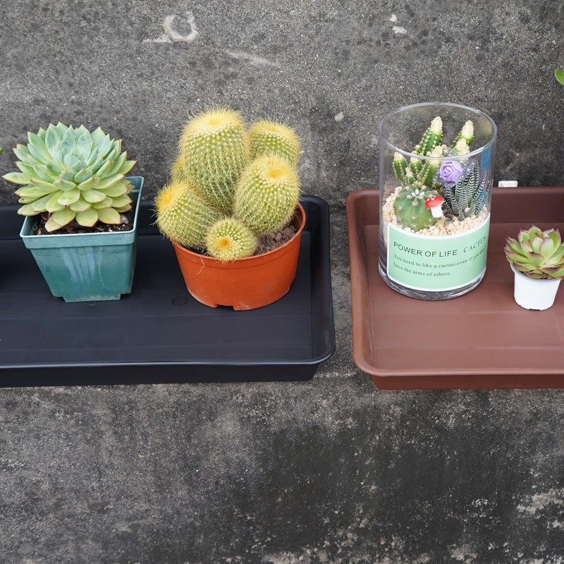 VUWEZ 2 Pack Plant Saucer Tray Rectangular, Plant Growing Nursery