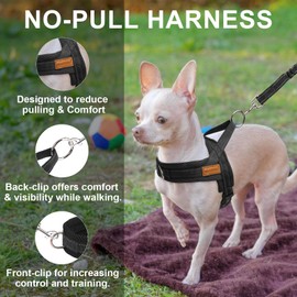 BEAUTYZOO Dog Harness for Small Dogs, No Pull Dog Harness and Leash Set, Soft Escape Proof Puppy Vest Harness with Handle, Reflective Lightweight Step in Harness for Girl Boy Dogs, Black S