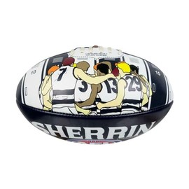 Sherrin AFL Geelong Cats Song Football, Size 2