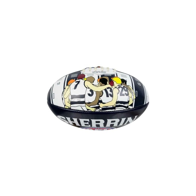 Sherrin AFL Geelong Cats Song Football, Size 2