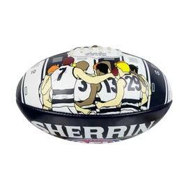 Sherrin AFL Geelong Cats Song Football, Size 2