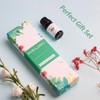 MAYJAM Essential Oil Set, Popular Set of 6, Aroma Oil,