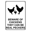 Weatherproof Plastic Vertical Beware of Chickens They Can Be Real