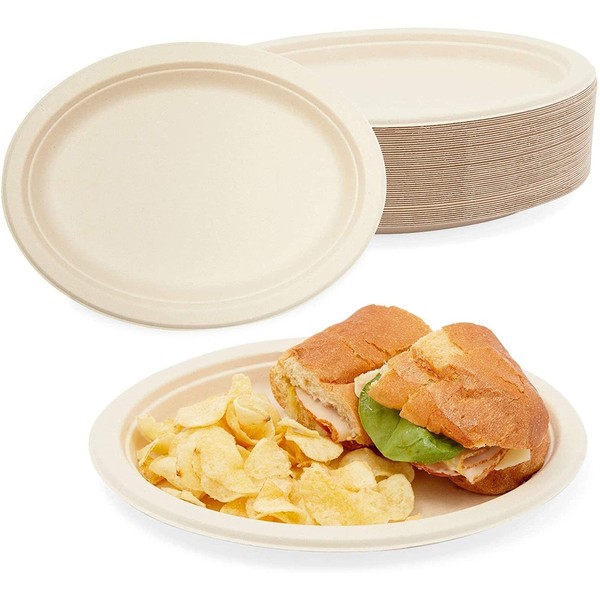 50-Pack Sugarcane Bagasse Plates Disposable Dinnerware, 25 x 20 cm, Beige