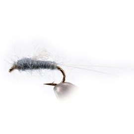RS2 Gray Emerger Midge Nymph Fly - 12 Flies - Mustad Signature Hook - Choose Size (Hook #22)