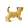 Safari Ltd. Lion Cub Figurine - Lifelike 2.35" Wildlife Figure